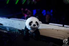 Operation-Raw-Exclusive1-33